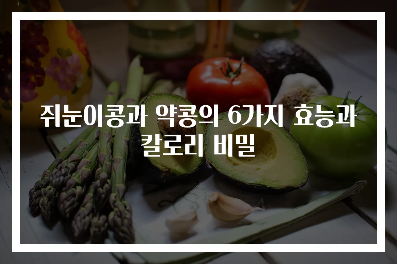 쥐눈이콩과 약콩의 6가지 효능과 칼로리 비밀