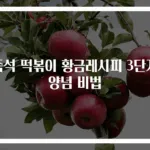 즉석 떡볶이 황금레시피 3단계 양념 비법