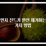 집먼지 진드기 완전 제거하는 3가지 방법