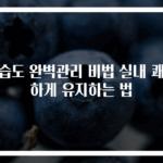 집습도 완벽관리 비법 실내 쾌적하게 유지하는 법