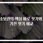 채소보관의 핵심 바로 씻기와 먹기전 씻기 비교