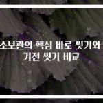채소보관의 핵심 바로 씻기와 먹기전 씻기 비교