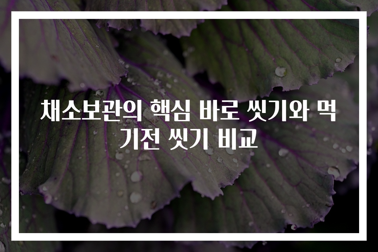 채소보관의 핵심 바로 씻기와 먹기전 씻기 비교