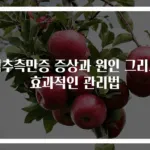 척추측만증 증상과 원인 그리고 효과적인 관리법