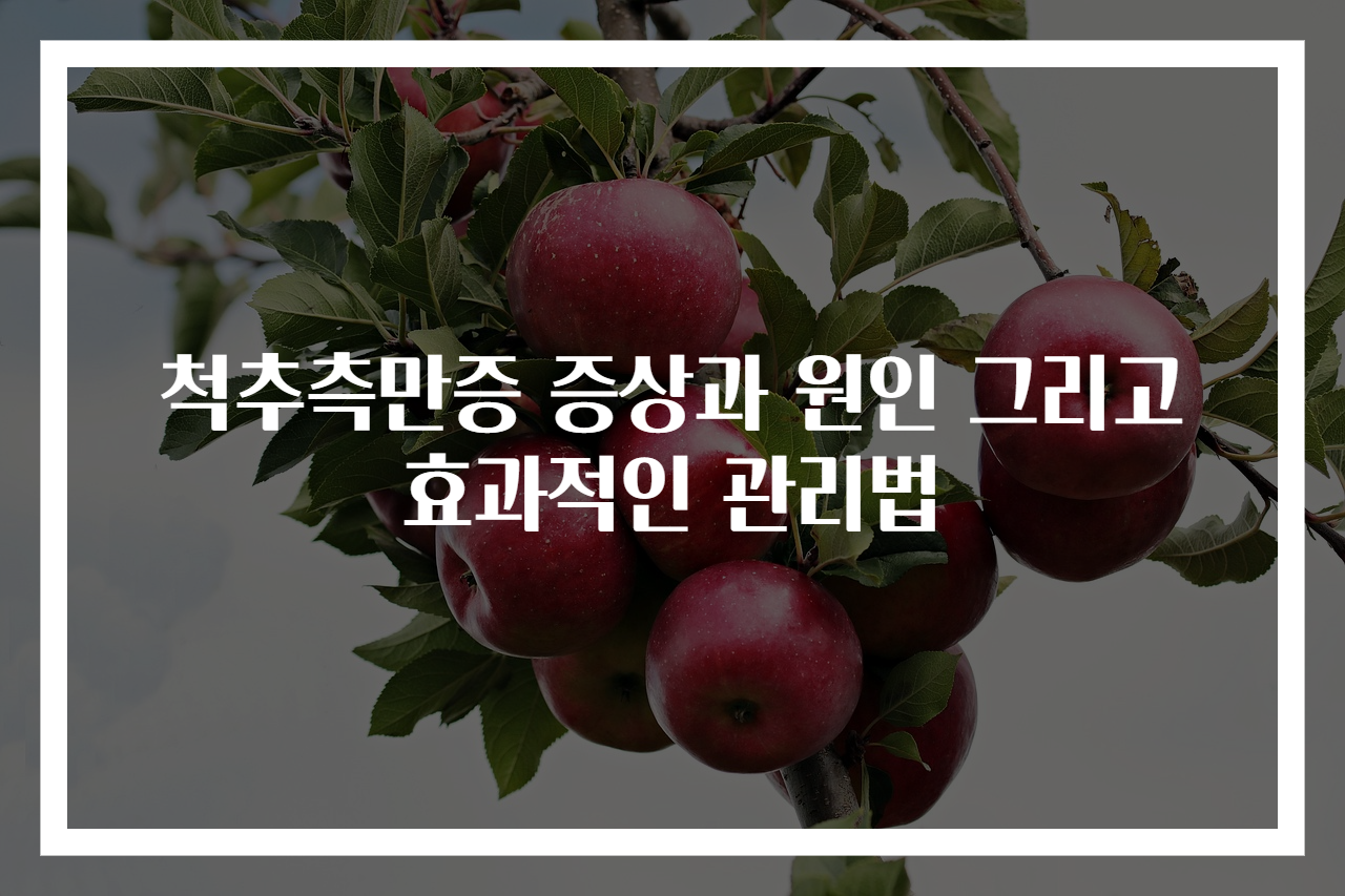 척추측만증 증상과 원인 그리고 효과적인 관리법