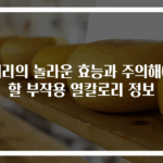 체리의 놀라운 효능과 주의해야 할 부작용 열칼로리 정보