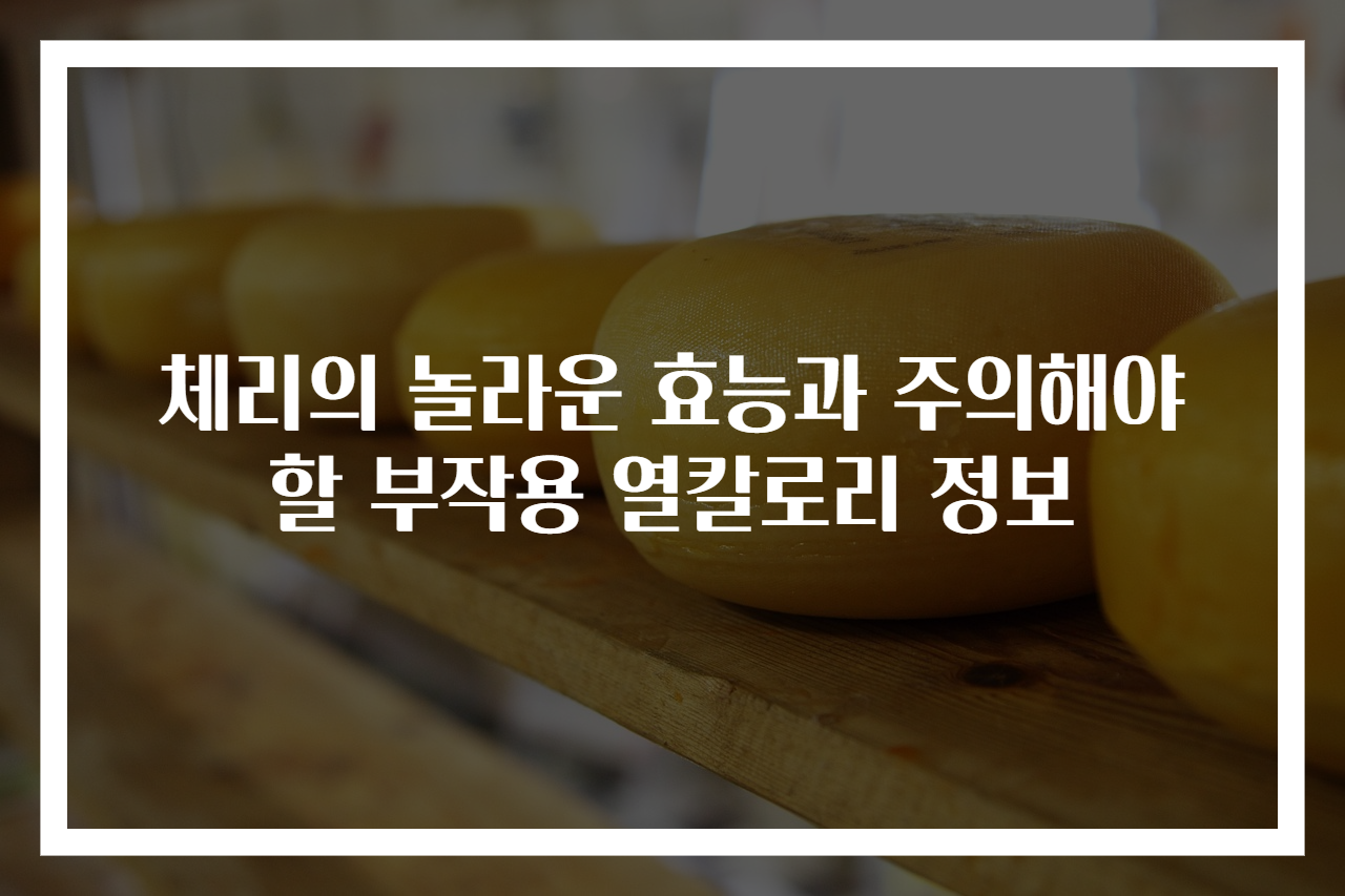 체리의 놀라운 효능과 주의해야 할 부작용 열칼로리 정보