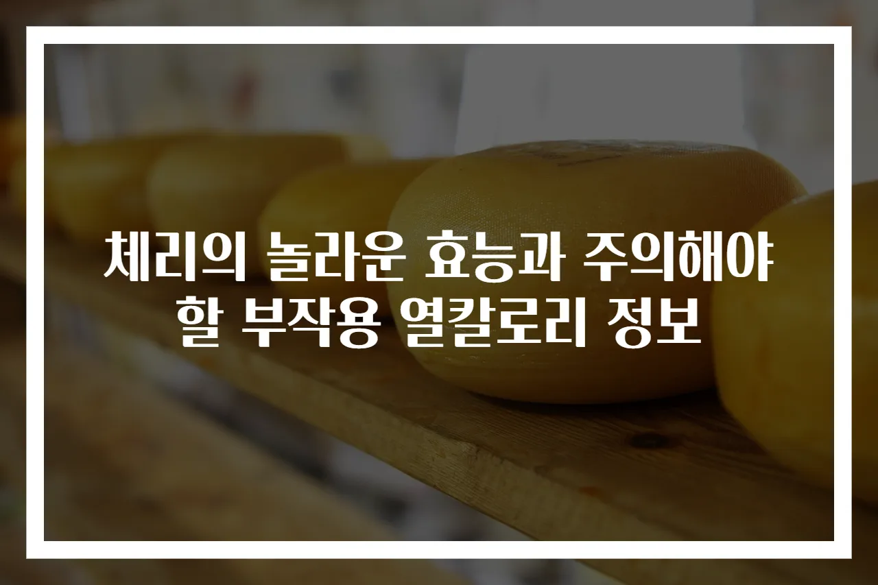 체리의 놀라운 효능과 주의해야 할 부작용 열칼로리 정보