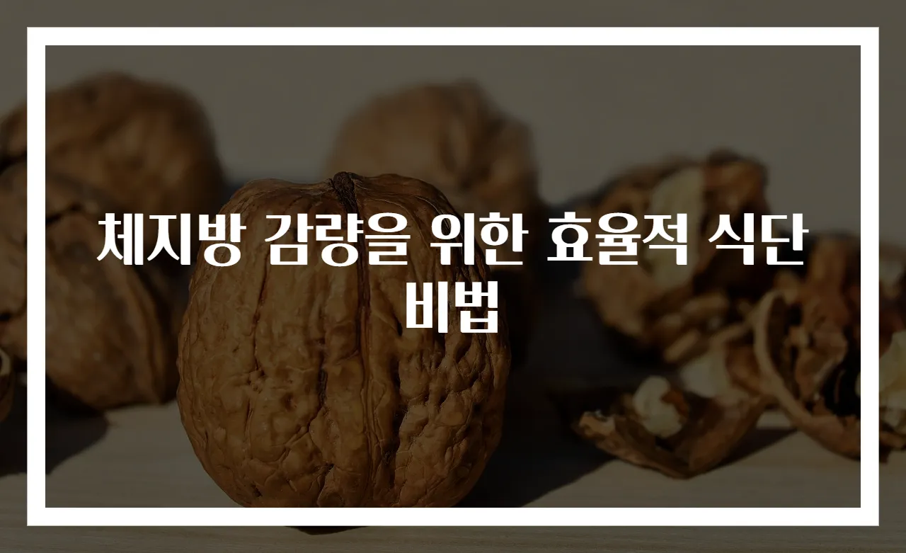 체지방 감량을 위한 효율적 식단 비법