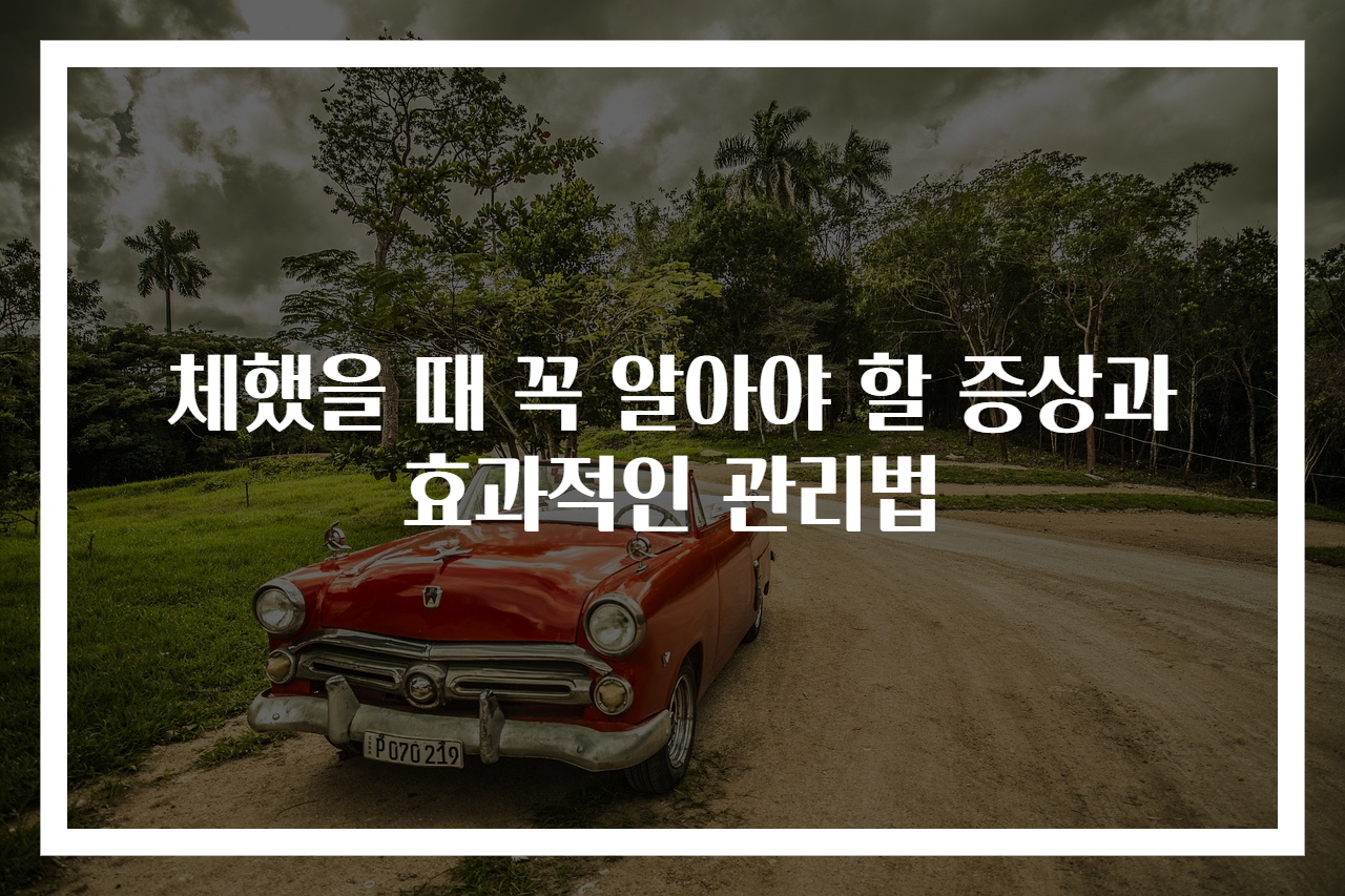 체했을 때 꼭 알아야 할 증상과 효과적인 관리법