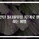 초간단 돌나물무침 3단계로 완성하는 비법
