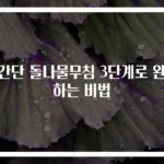초간단 돌나물무침 3단계로 완성하는 비법