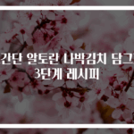 초간단 알토란 나박김치 담그기 3단계 레시피