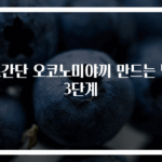 초간단 오코노미야끼 만드는 법 3단계