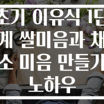 초기 이유식 1단계 쌀미음과 채소 미음 만들기 노하우