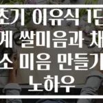 초기 이유식 1단계 쌀미음과 채소 미음 만들기 노하우