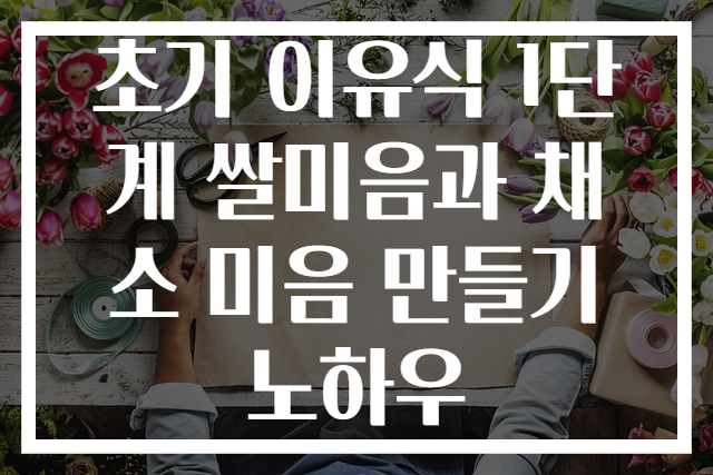 초기 이유식 1단계 쌀미음과 채소 미음 만들기 노하우
