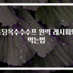 초당옥수수수프 완벽 레시피와 먹는법