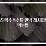 초당옥수수수프 완벽 레시피와 먹는법