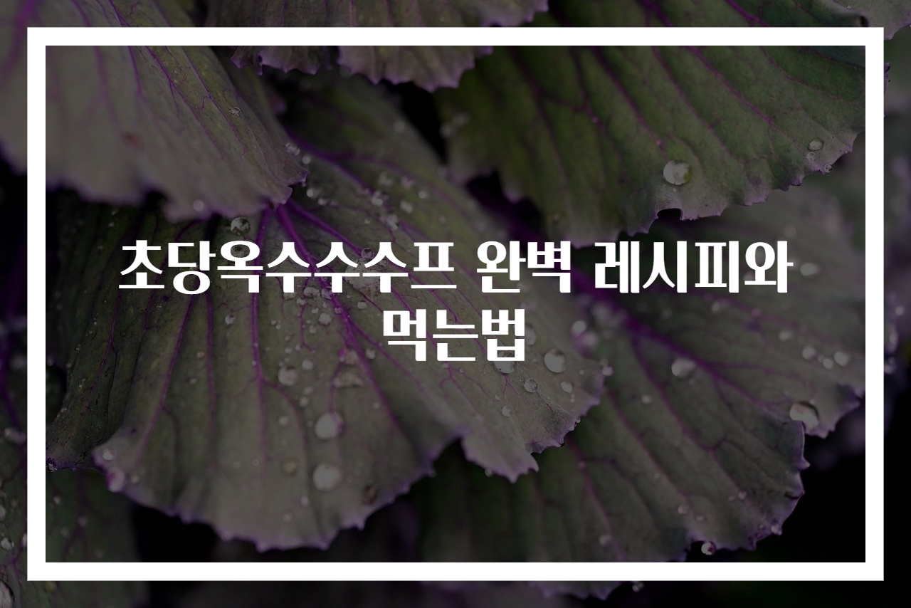 초당옥수수수프 완벽 레시피와 먹는법