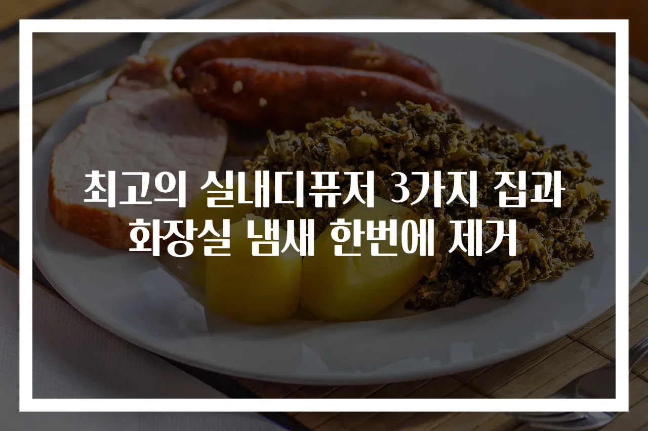최고의 실내디퓨저 3가지 집과 화장실 냄새 한번에 제거