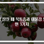 침 삼킬 때 목통증과 이물감 원인 3가지