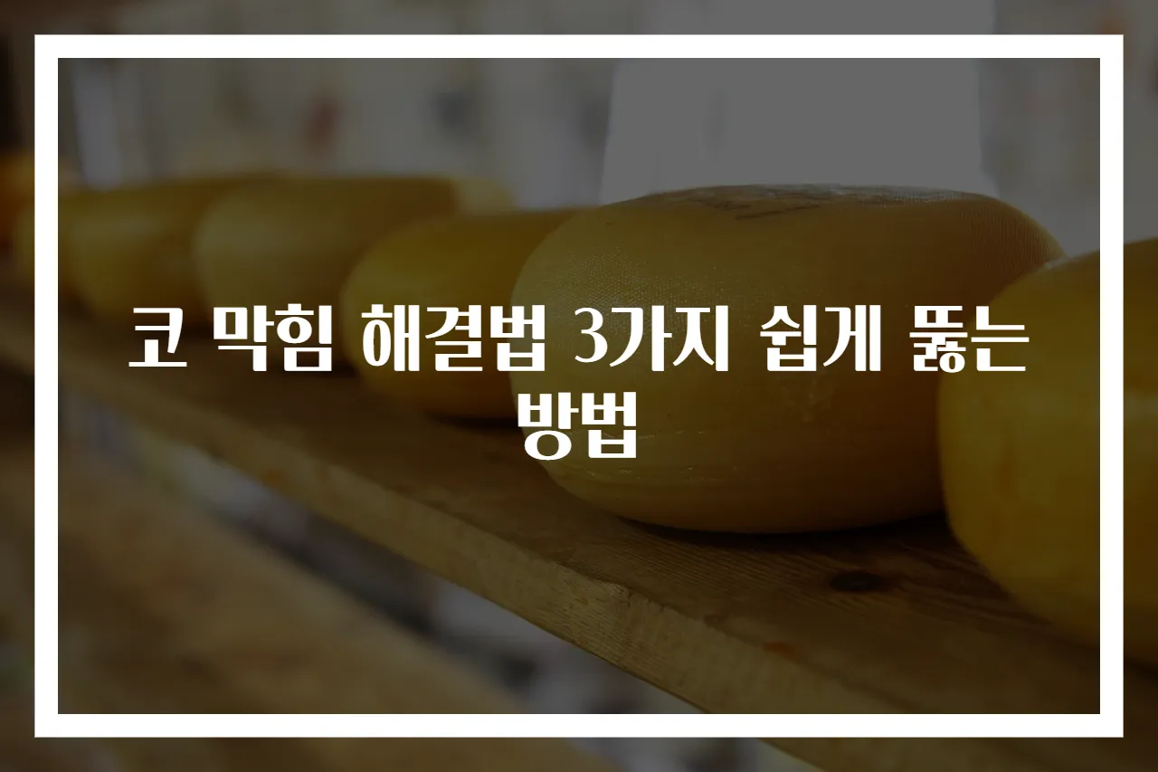 코 막힘 해결법 3가지 쉽게 뚫는 방법