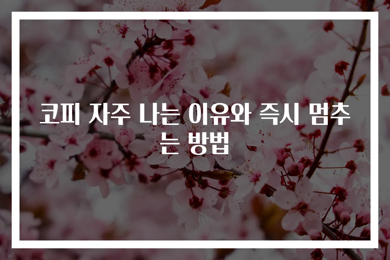 코피 자주 나는 이유와 즉시 멈추는 방법