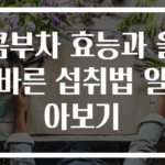 콤부차 효능과 올바른 섭취법 알아보기