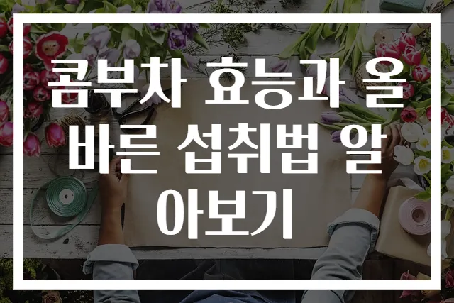 콤부차 효능과 올바른 섭취법 알아보기
