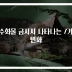 탄수화물 금지시 나타나는 7가지 변화