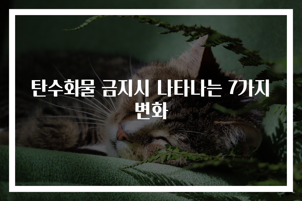 탄수화물 금지시 나타나는 7가지 변화