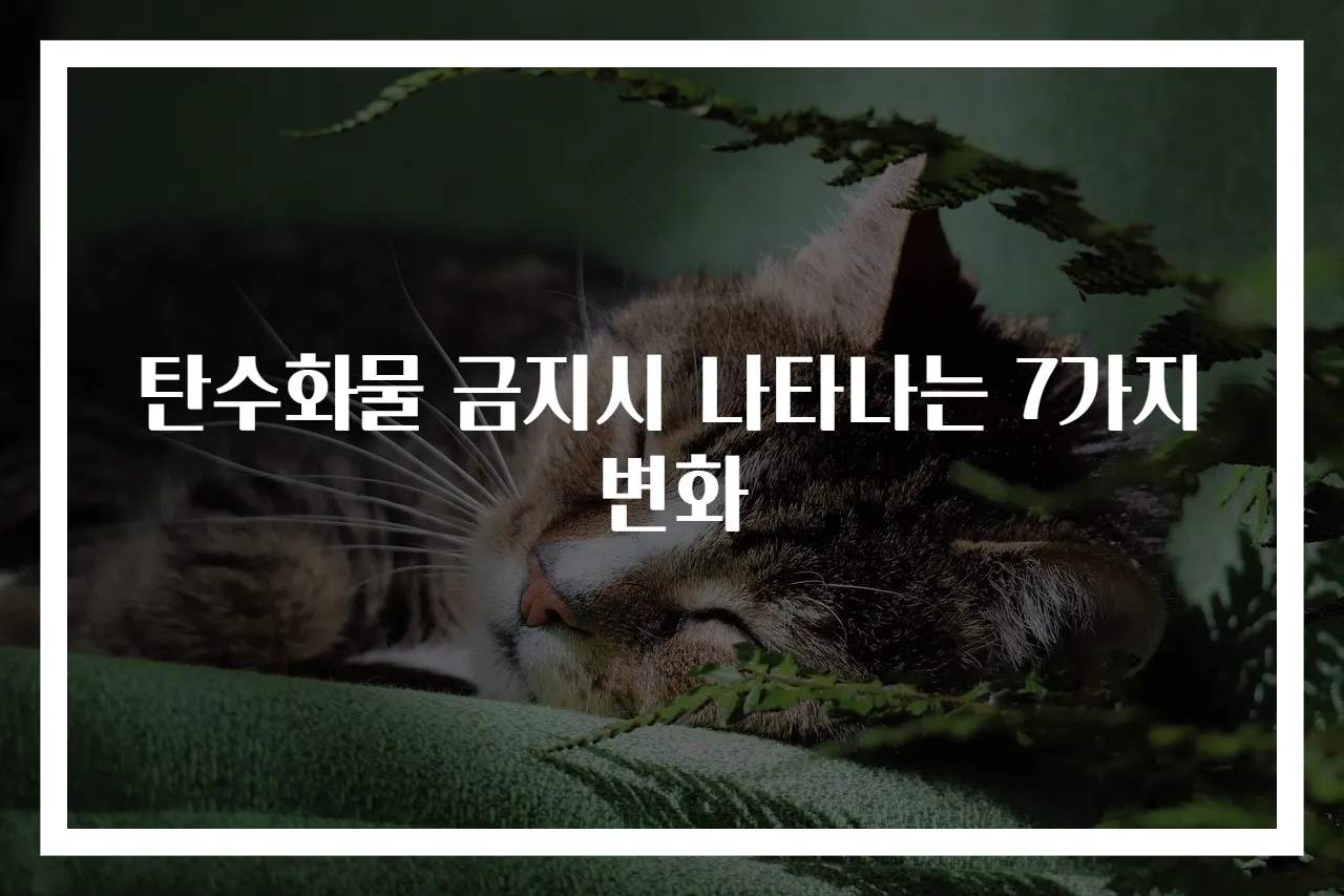 탄수화물 금지시 나타나는 7가지 변화
