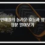 파인애플의 놀라운 효능과 영양성분 알아보기