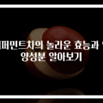 페퍼민트차의 놀라운 효능과 영양성분 알아보기