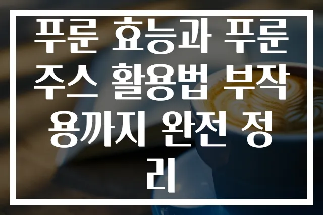푸룬 효능과 푸룬주스 활용법 부작용까지 완전 정리