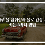 하루 물 섭취량과 물로 건강 지키는 5가지 방법