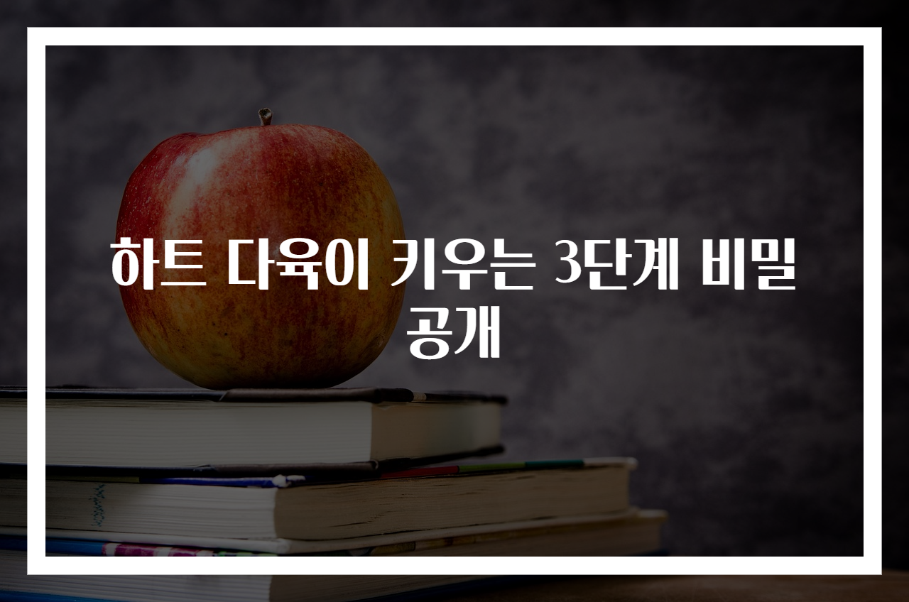 하트 다육이 키우는 3단계 비밀공개