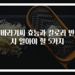 해바라기씨 효능과 칼로리 반드시 알아야 할 5가지