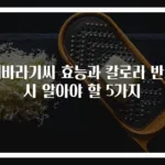 해바라기씨 효능과 칼로리 반드시 알아야 할 5가지