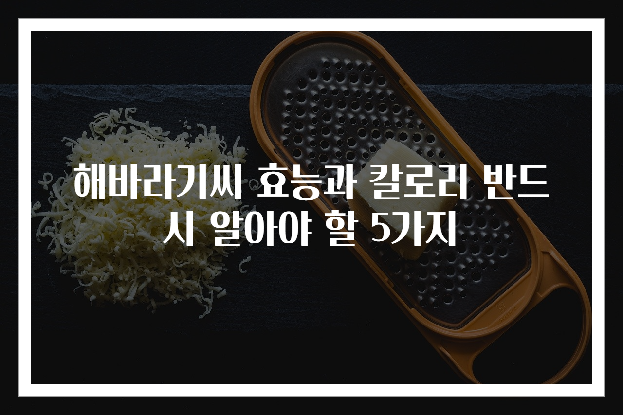 해바라기씨 효능과 칼로리 반드시 알아야 할 5가지