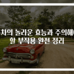 홍차의 놀라운 효능과 주의해야 할 부작용 완전 정리