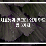 홍차효능과 밀크티 쉽게 만드는법 3가지