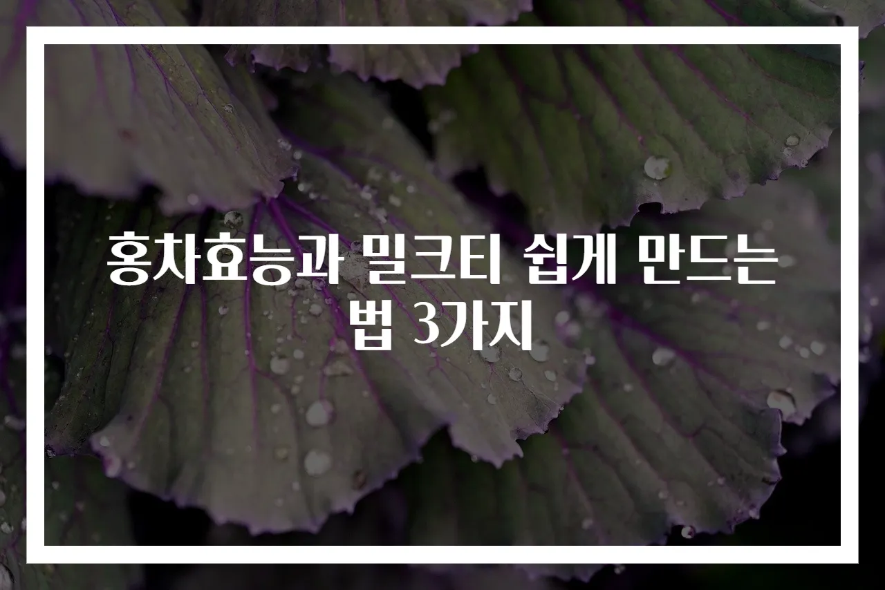 홍차효능과 밀크티 쉽게 만드는법 3가지