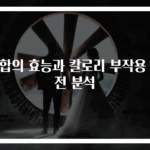 홍합의 효능과 칼로리 부작용 완전 분석