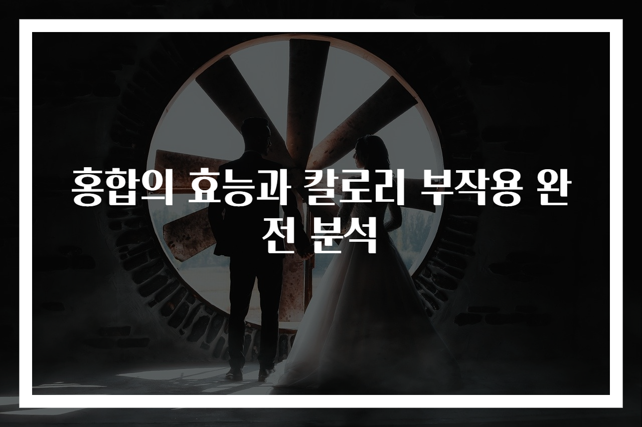 홍합의 효능과 칼로리 부작용 완전 분석