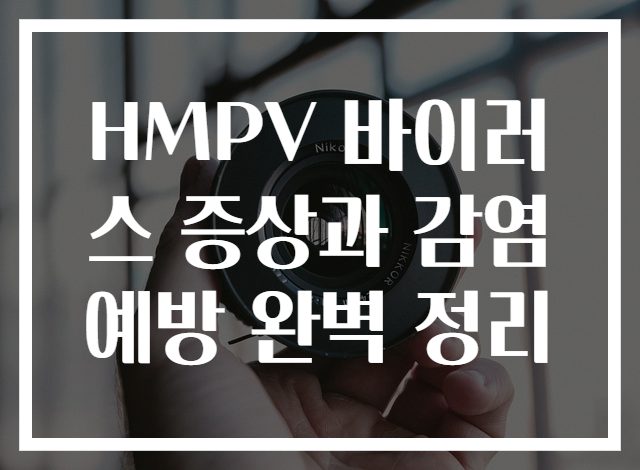 HMPV 바이러스 증상과 감염 예방 완벽 정리