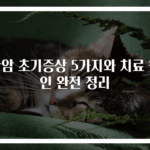 간암 초기증상 5가지와 치료 원인 완전 정리