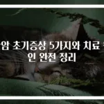 간암 초기증상 5가지와 치료 원인 완전 정리