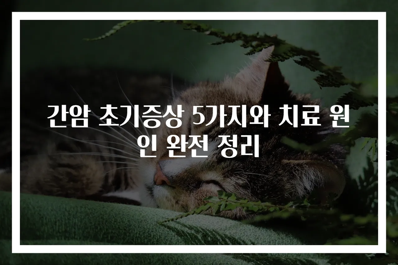 간암 초기증상 5가지와 치료 원인 완전 정리